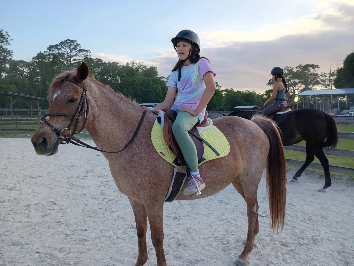 A young rider on horseback in the arena