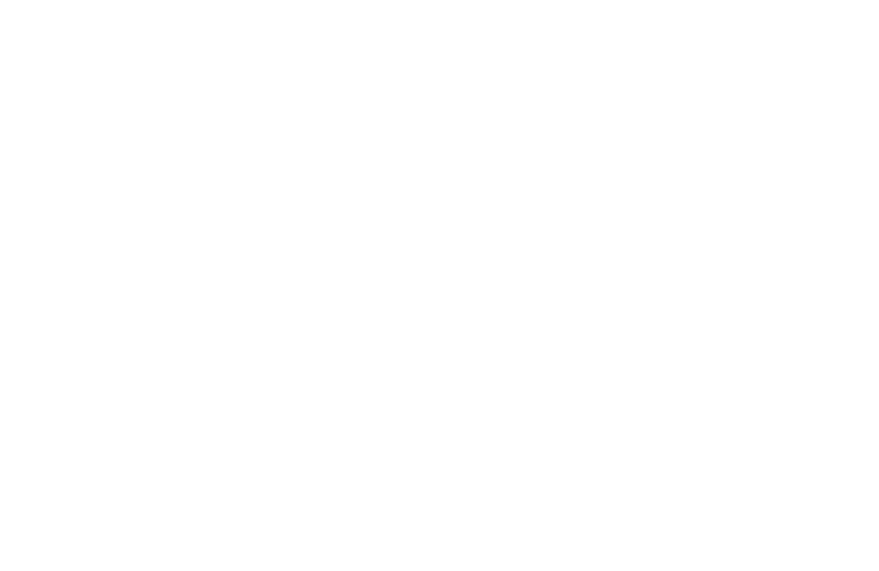 Animals & Kids, Inc.